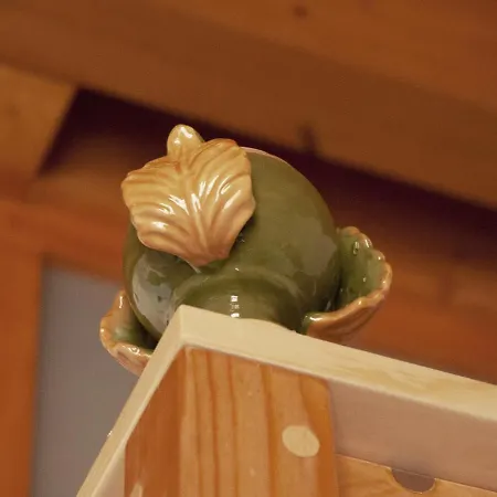 La Felicia 3* 바리